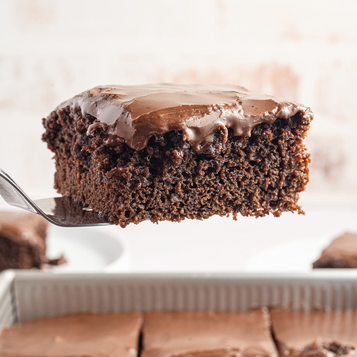 Wacky Cake - No Eggs, No Milk, and No Butter