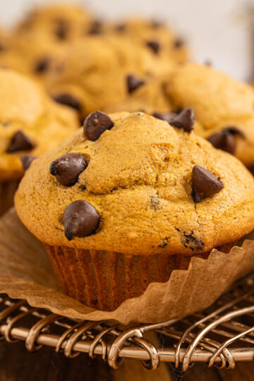 Pumpkin Chocolate Chip Muffin with a wrapper being peeled off.