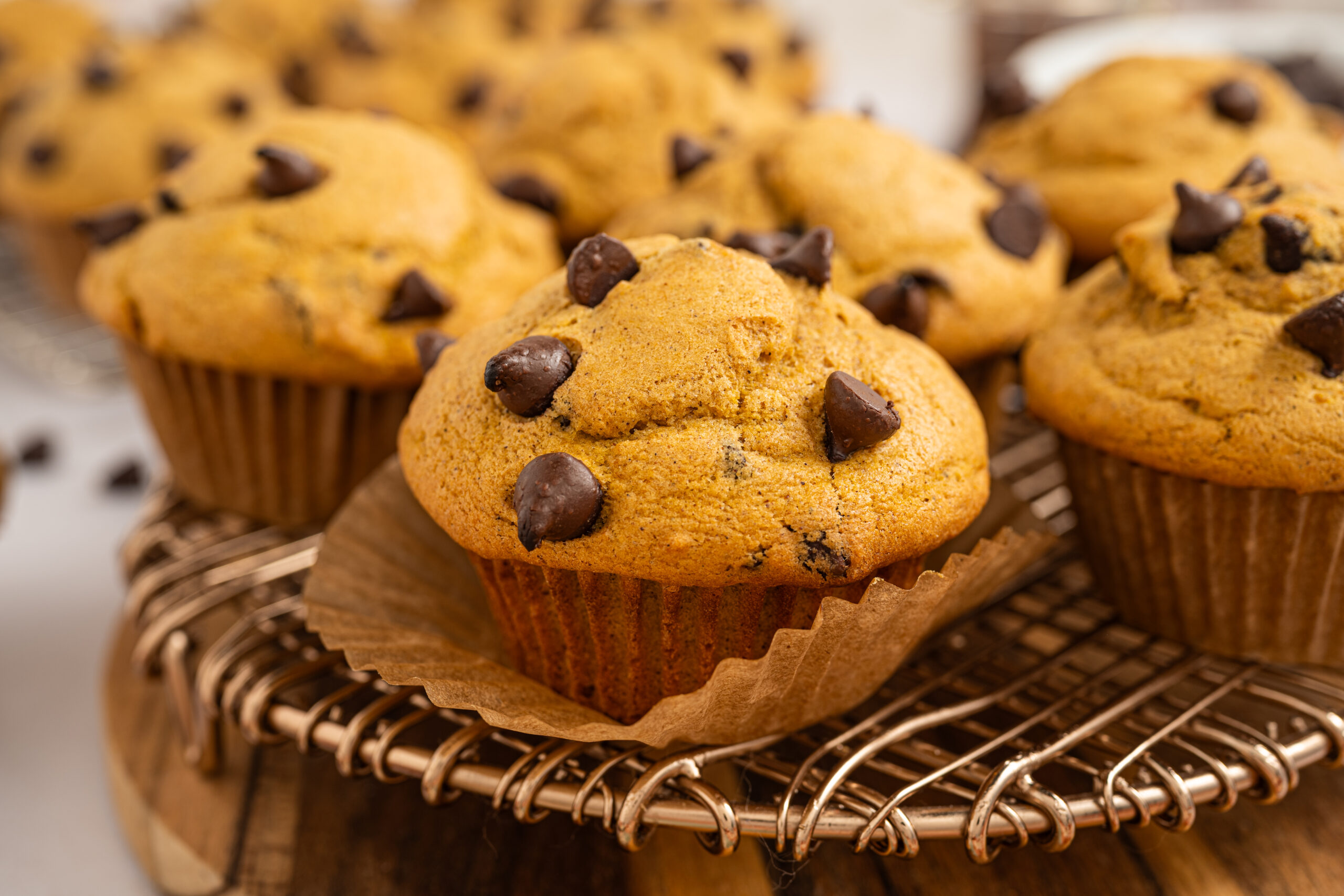 Chocolate Chip Pumpkin Muffins