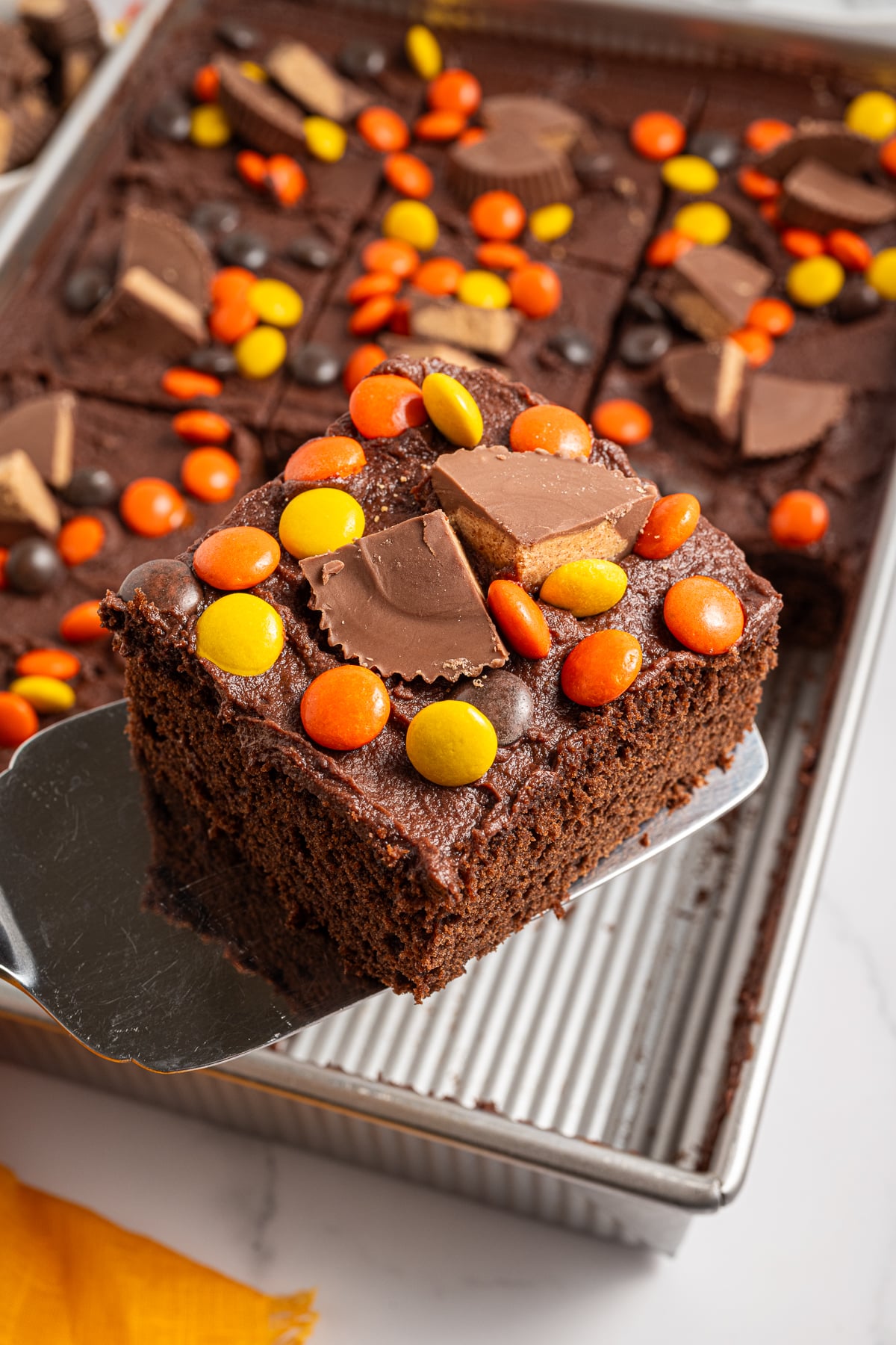 A slice of chocolate peanut butter cake on a serving utensil.