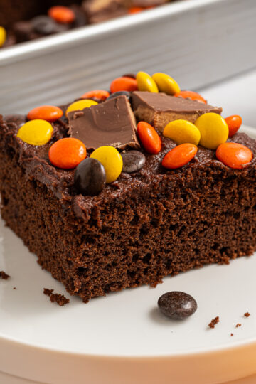 A slice of Chocolate Peanut Butter Sheet Cake on a small white plate with Reese's Pieces and peanut butter cups on top.